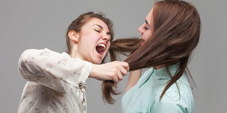 Violență între cumnate la Soroca: 50 de ore de muncă pentru agresiune fizică