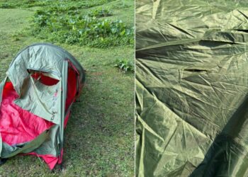 Urs atras de mâncare la un cort din Mălăiești. O familie cu doi copii, salvată de Salvamont