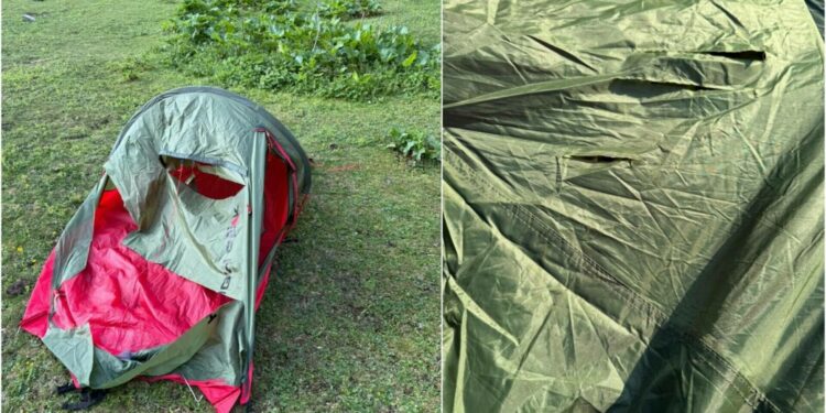 Urs atras de mâncare la un cort din Mălăiești. O familie cu doi copii, salvată de Salvamont