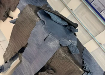 Ar fi încercat să transporte ilicit piei de crocodil: Un străin, documentat