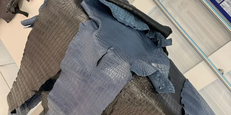 Ar fi încercat să transporte ilicit piei de crocodil: Un străin, documentat