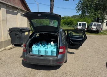 O străină a vrut să transporte substanțe periculoase peste frontieră