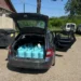 O străină a vrut să transporte substanțe periculoase peste frontieră