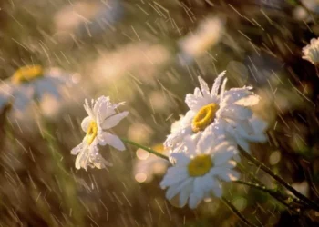 Prognoza meteo pentru 9 iunie