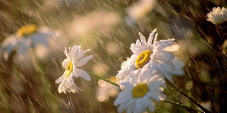 Prognoza meteo pentru 9 iunie