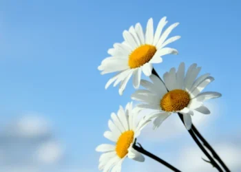 Vreme instabilă pe 10 iunie: posibile averse și temperaturi de până la 25°C