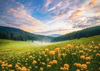 Soare și cer variabil în toată țara