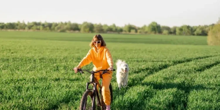 Zi de vară perfectă: Cer senin și temperaturi de până la 30 °C în sudul țării