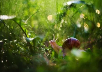 Vreme instabilă spre seară: posibile ploi și descărcări electrice