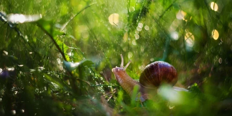 Vreme instabilă spre seară: posibile ploi și descărcări electrice