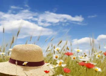 Vreme de vară în toată țara: maxime de până la 30°C