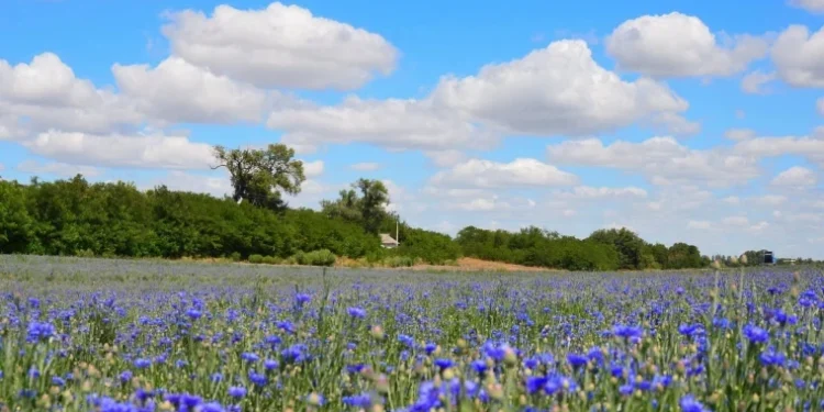 Vreme stabilă și caldă: fără ploi, dar cu cer variabil