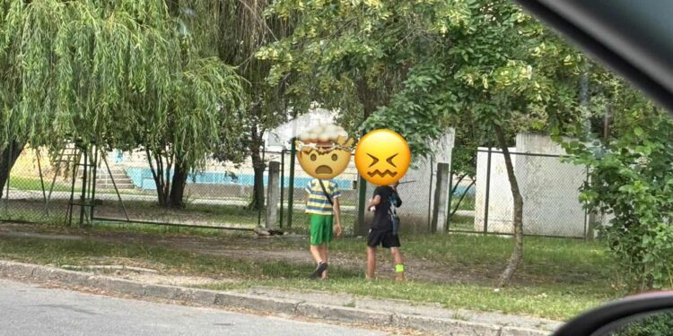 Copii surprinși sărind în fața mașinilor, în plină stradă, la Poșta Veche