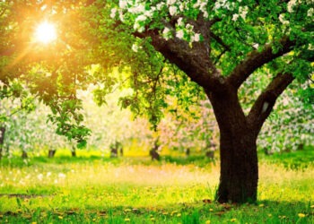 Прогноз погоды на 7 июня