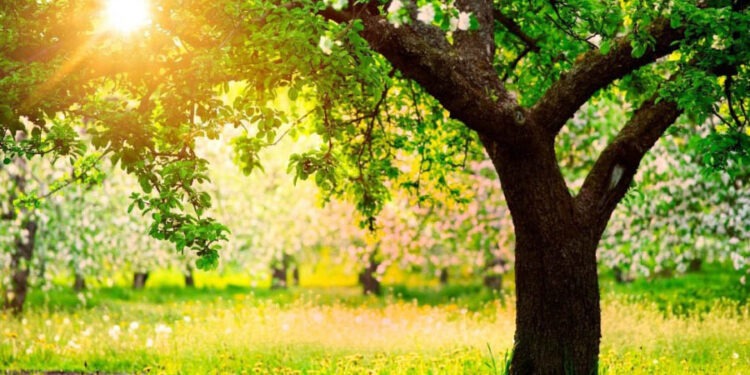 Прогноз погоды на 7 июня