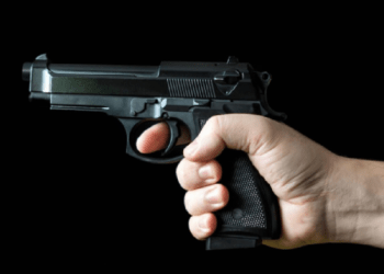 Puterea se înarmează: Guvernul PAS vrea arme pentru demnitari fără cursuri și aviz psihiatric |VIDEO