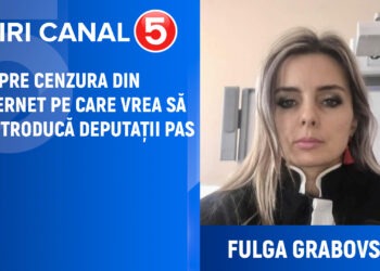 Fulga Grabovschi: Vor ține cont autoritățile de criticile aduse amendamentelor care introduc controlul asupra informației în internet? |VIDEO