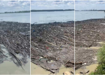 Malul Dunării, sufocat de gunoaie. Imagini dezolante cu tonele de deșeuri aduse de ape, în urma viiturilor din ultimele zile