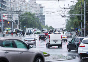Рекордное число сертификатов «Зеленой карты», выданных в цифровом виде за один месяц