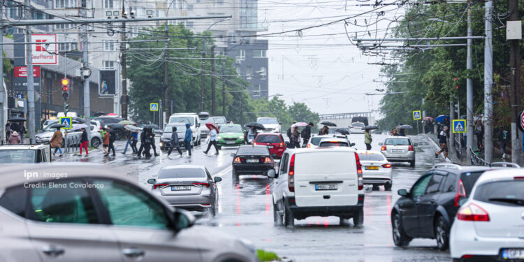 Рекордное число сертификатов «Зеленой карты», выданных в цифровом виде за один месяц