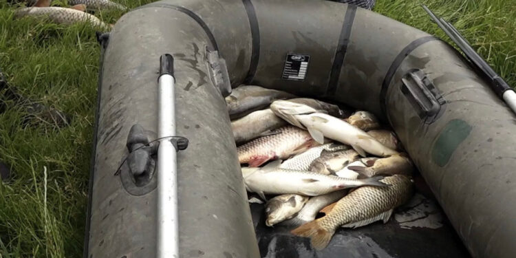 Contrabandă pe traseul Chișinău–Leușeni: Doi șoferi, prinși cu bunuri ilegale