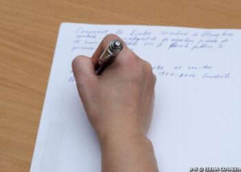 Созданы апелляционные комиссии по экзаменам на степень бакалавра и выпускным экзаменам