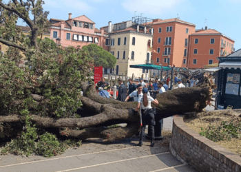 Copac prăbușit în centrul Veneției: mai multe victime, inclusiv o femeie din R. Moldova
