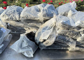 Mărfuri de Contrabandă Depistate la Vama Leușeni