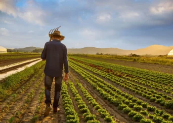 Agricultorii: Scumpirea carburanților va duce la creșteri semnificative ale prețurilor la produsele agricole