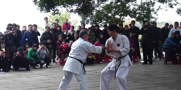 Federația de Karate-Do, acuzată de fraudă și obligată să întoarcă finanțările din 2023-2024