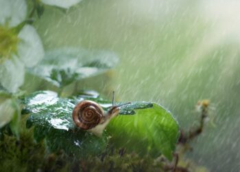 Ливни и грозы: какой будет эта неделя, рассказали синоптики