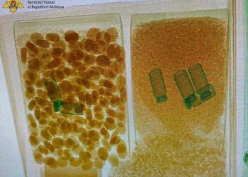 Funcționarii vamali au dejucat o tentativă de trafic ilicit cu substanțe anabolizante la Aeroportul Chișinău