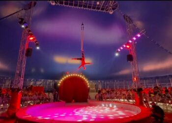 Circul Fantasy continuă să încânte publicul: spectacole gratuite zilnic la OrheiLand