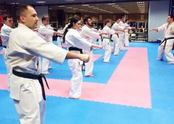 Право на реплику: Клубы, входящие в Национальную федерацию каратэ-до, осуждают руководство