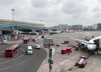 В аэропорту Индии найдены в багаже ​​пассажира 95 экзотических животных