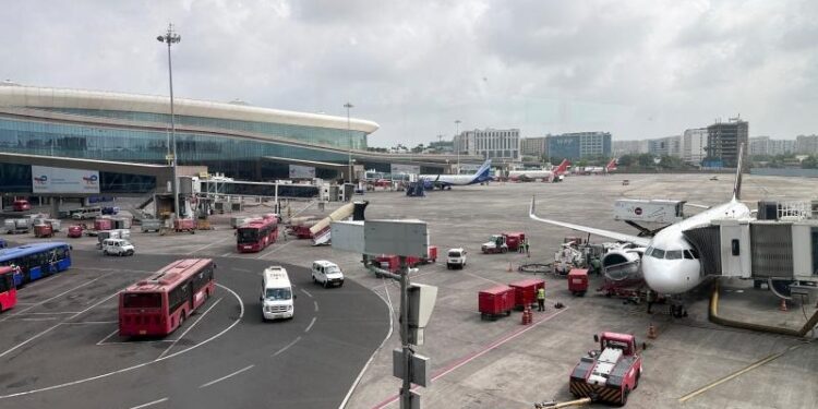 В аэропорту Индии найдены в багаже ​​пассажира 95 экзотических животных