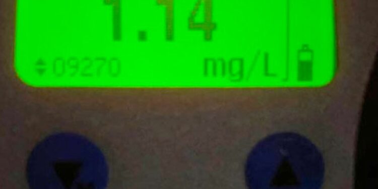 Ialoveni: Bărbat prins cu 1,14 mg/l alcool la volanul unei Toyota