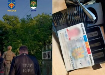 Пограничная полиция разоблачила преступную группу, занимавшуюся незаконной миграцией