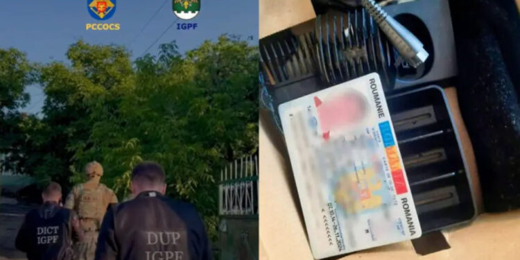 Пограничная полиция разоблачила преступную группу, занимавшуюся незаконной миграцией