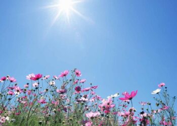 Прогноз на день: переменная облачность и высокая температура