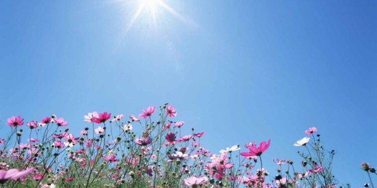 Прогноз на день: переменная облачность и высокая температура