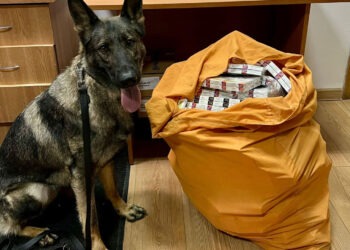 В Унгенах таможенники обнаружили сигареты, спрятанные в потолке вагона