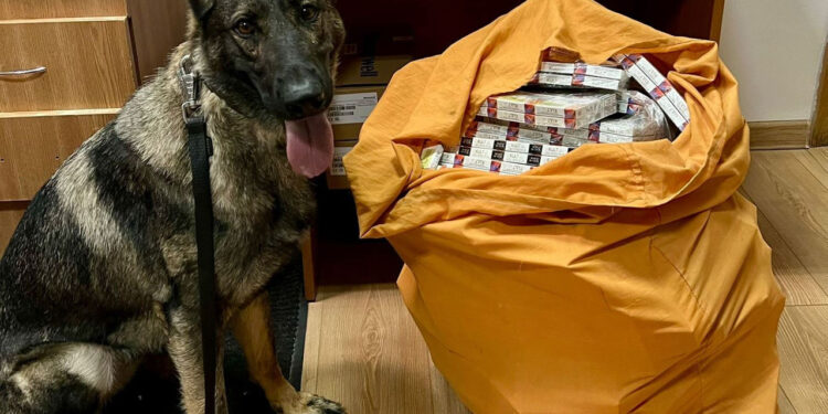 В Унгенах таможенники обнаружили сигареты, спрятанные в потолке вагона