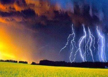 Слабые кратковременные дожди, временами грозы: синоптики о погоде на среду