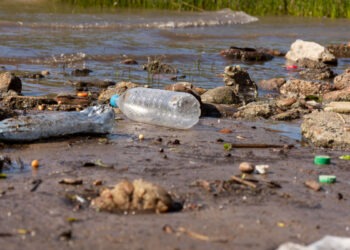Запах гнили, синий цвет и залежи мусора: Приток Днестра, река Икель, превратился в сточную канаву