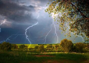 Грозы и град: прогноз погоды на четверг, 17 июля