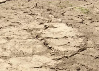 С каждым годом Молдова теряет статус страны с плодородной землёй