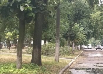 Последствия непогоды в Молдове: в Бендерах дерево придавило человека