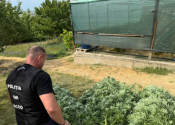 Двум мужчинам грозит до 15 лет тюрьмы за незаконный оборот наркотиков