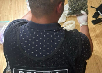 Наркотики на сумму 2 миллиона леев изъяты из оборота полицией